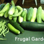 14 Money-saving Gardening Tips